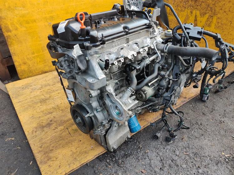 Двигатель Хонда Джаде во Владикавказе 43547