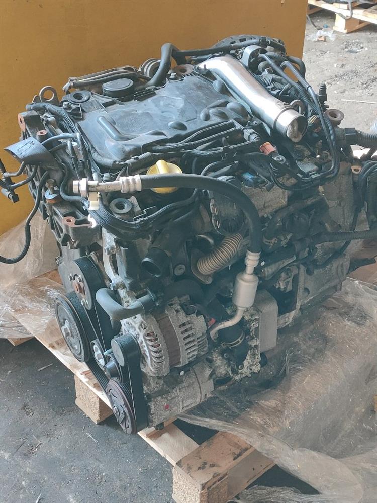 Двигатель Ниссан Х-Трейл во Владикавказе 50287